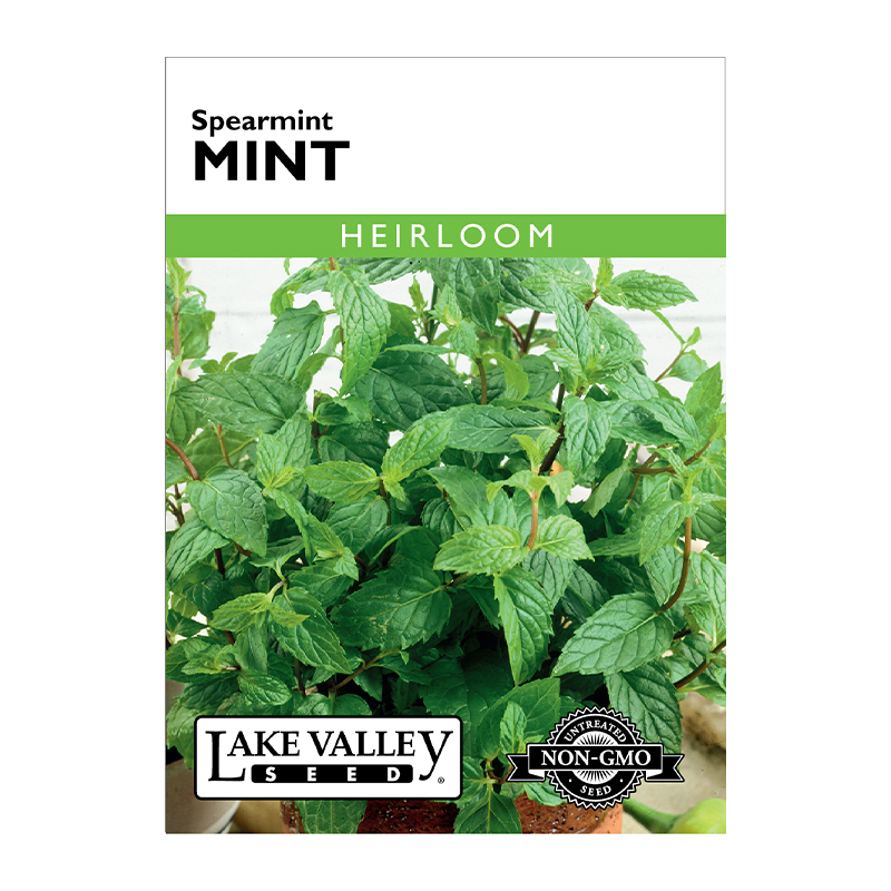 MINT HEIRLOOM