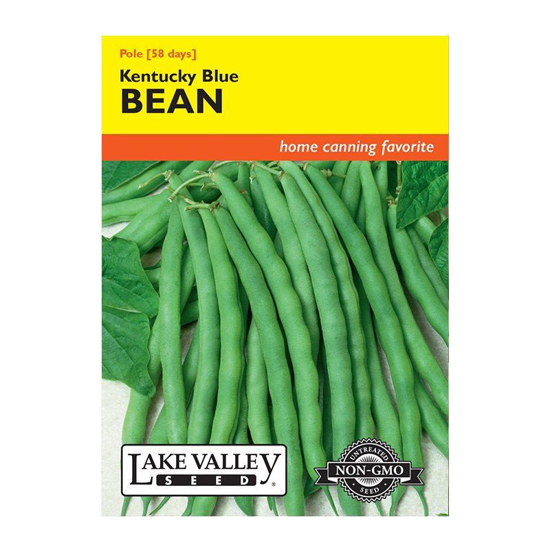 BEAN POLE KENTUCKY BLUE