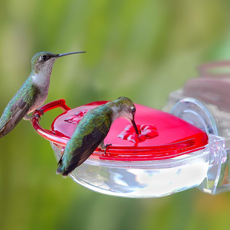 GEM WINDOW HB FEEDER RED