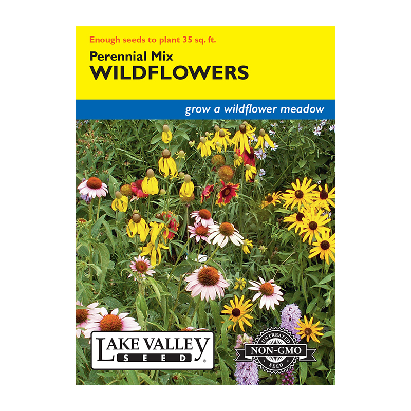 Wildflowers Perennial Mixtur