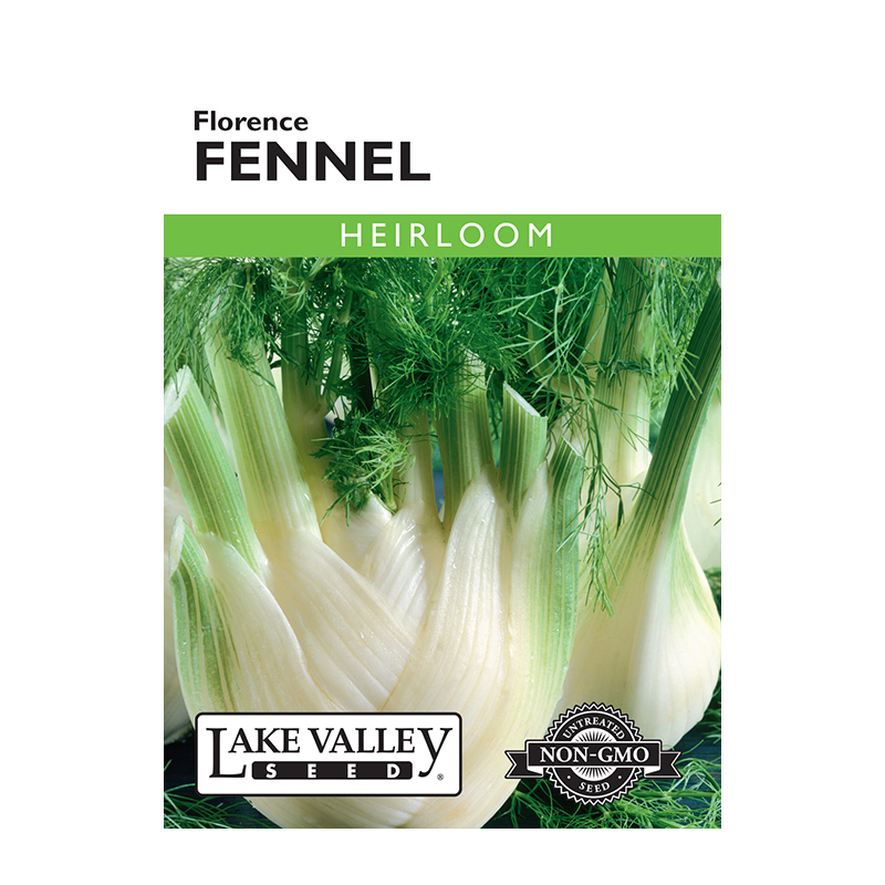 Fennel Florence