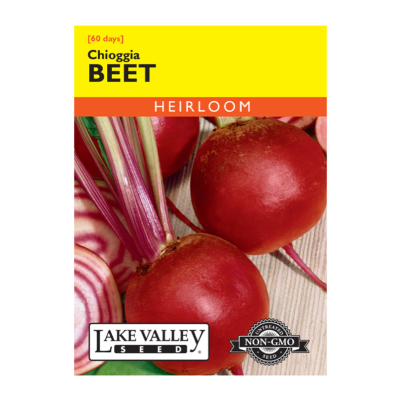 Beet Chioggia