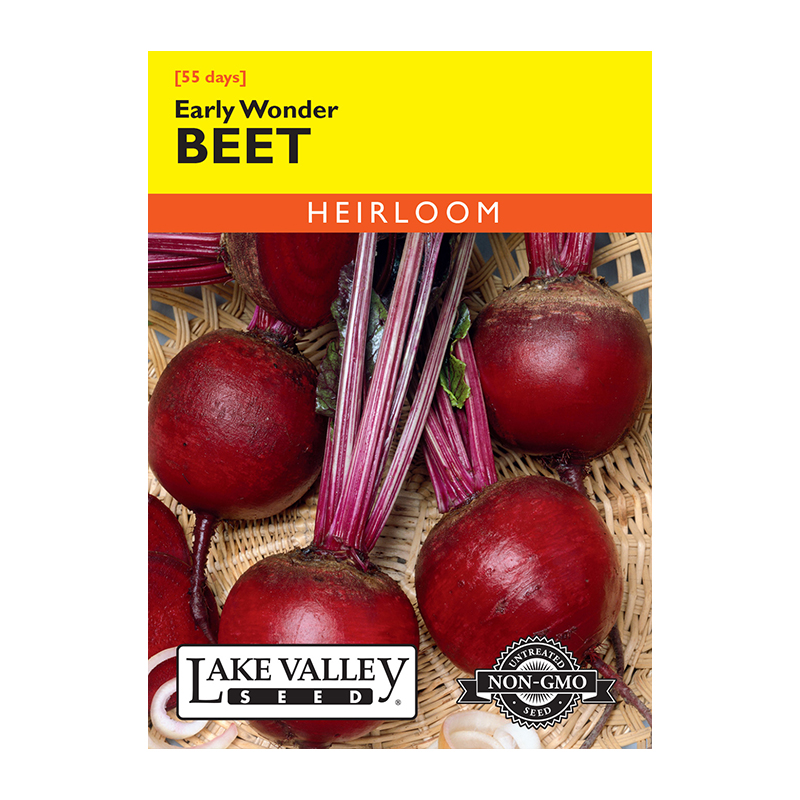 Beet Early Wonder