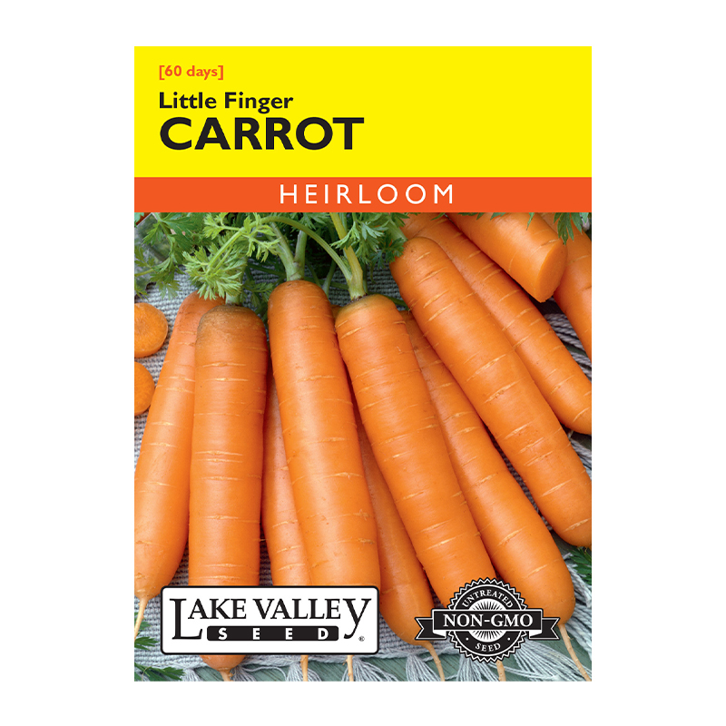 Carrot Little Finger