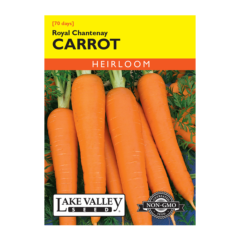 Carrot Royal Chantenay