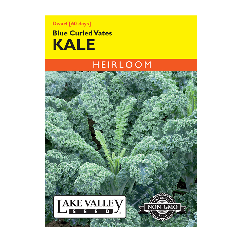 Kale Dwarf Blue Curled Vates