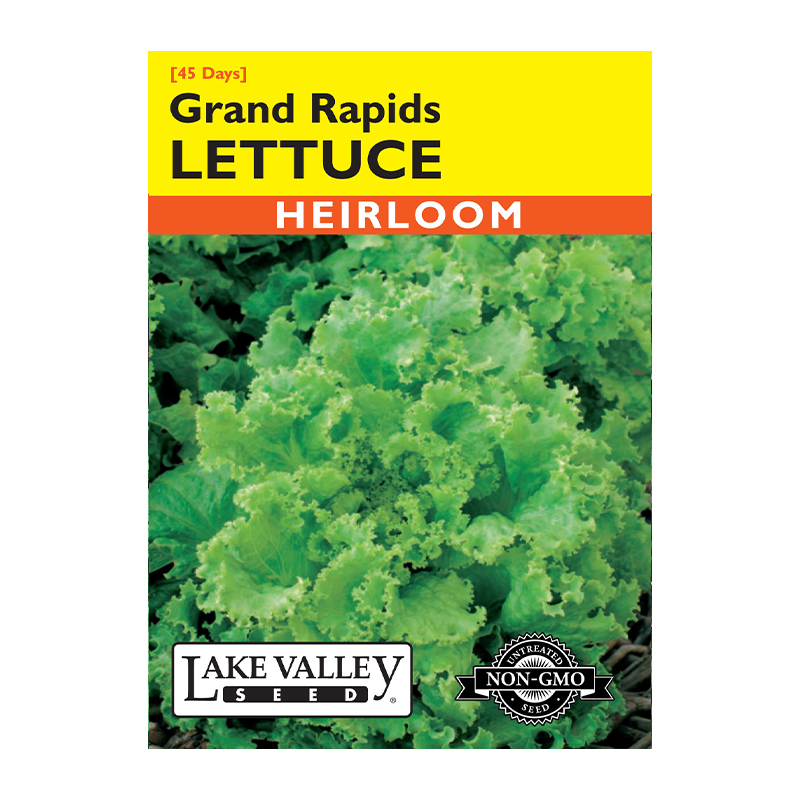 Lettuce Grand Rapids