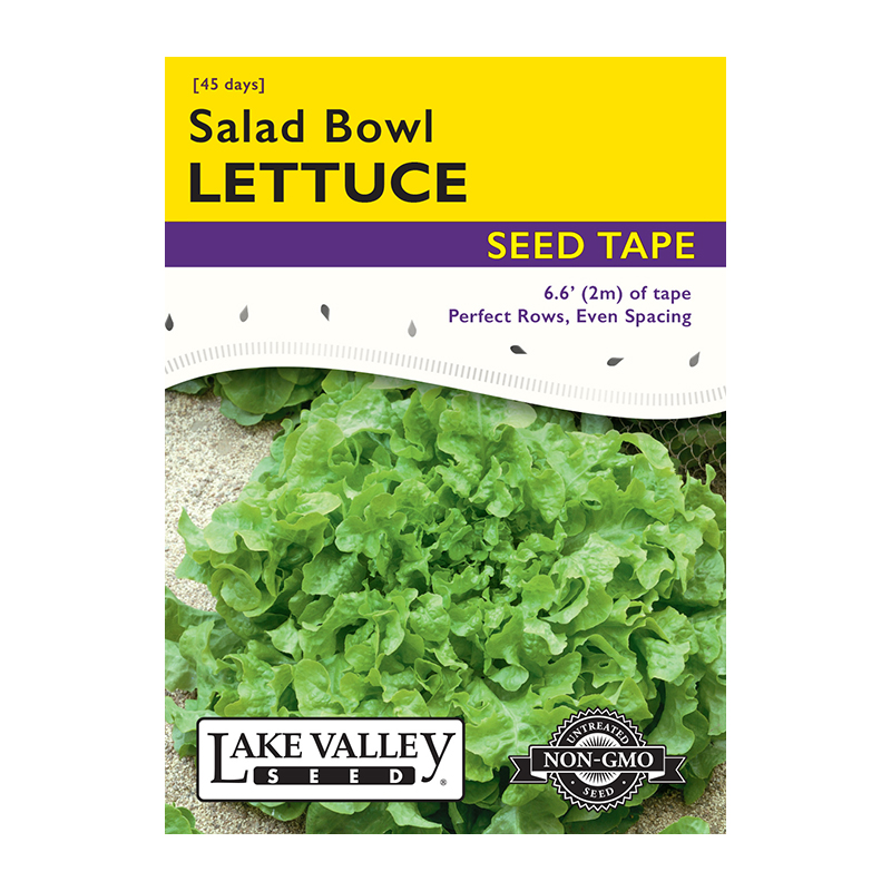 Lettuce Salad Bowl