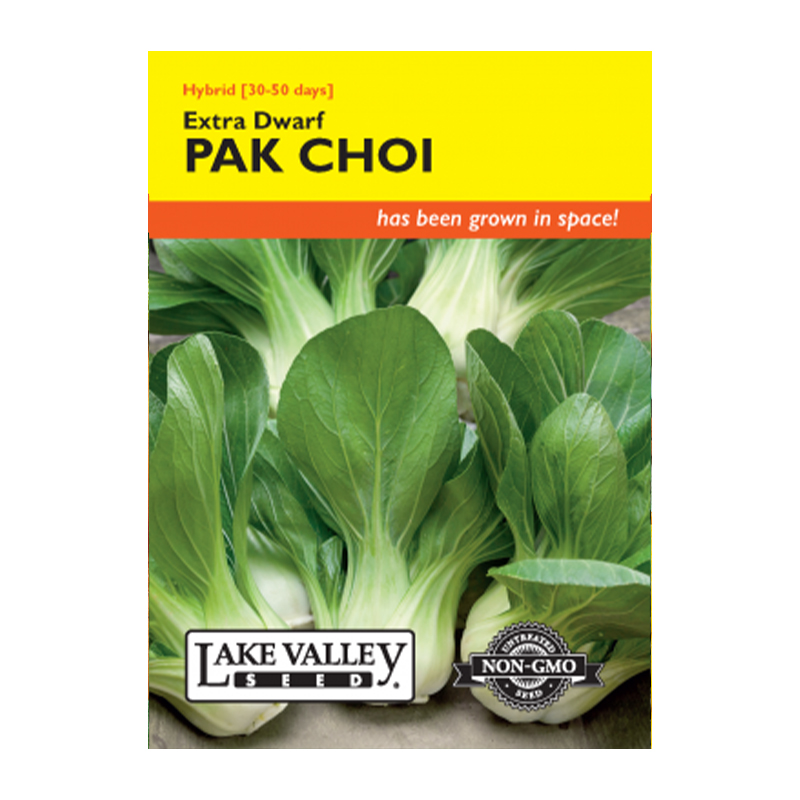 Pak Choi Extra Dwarf