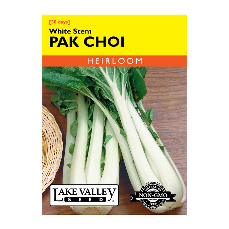 Pak Choi