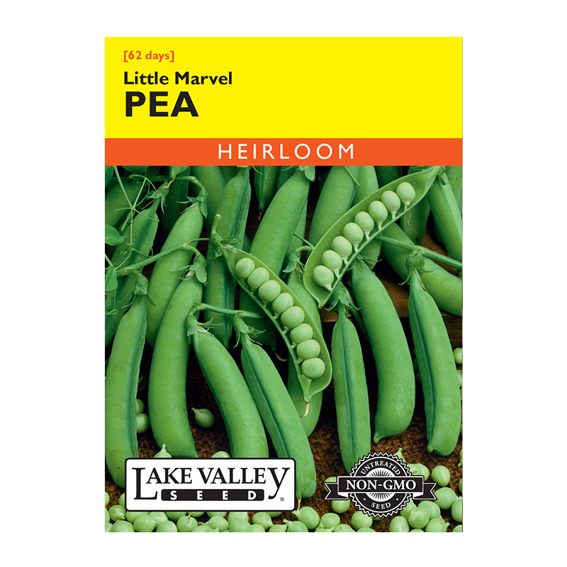 Pea Little Marvel