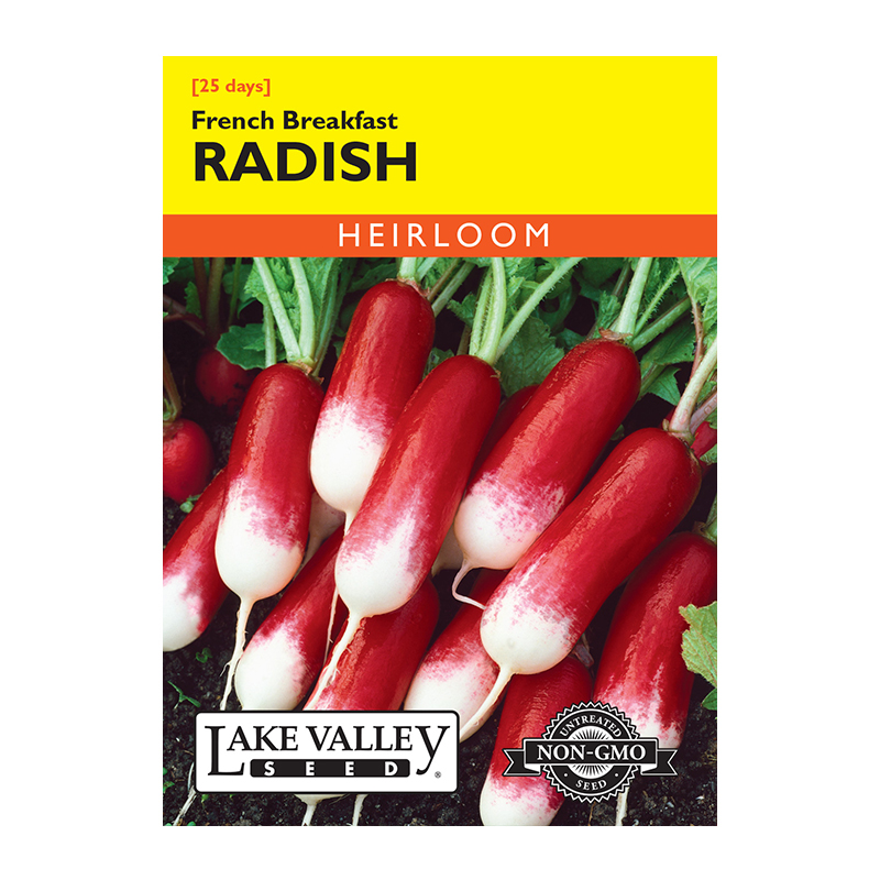 Radish French Breakfast