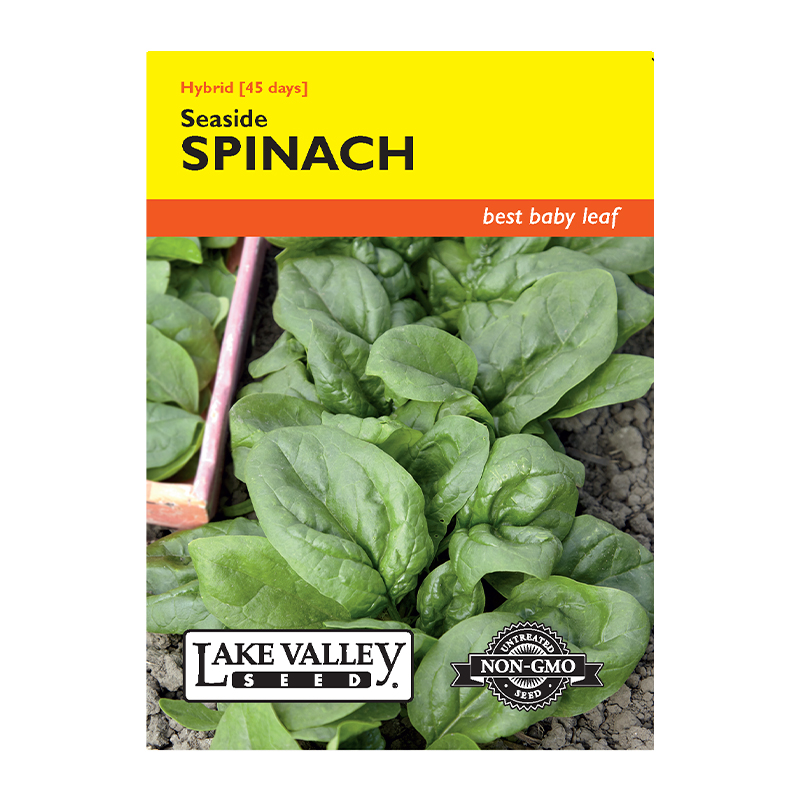 Spinach Seaside