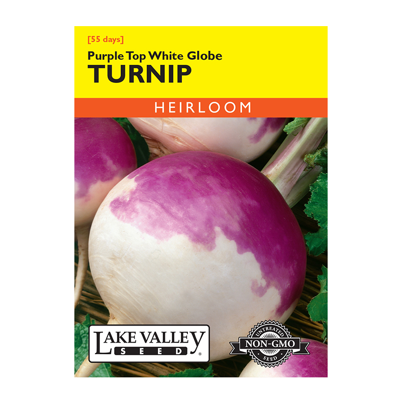 Turnip Purple Top White Globe