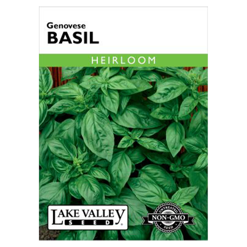 Basil Genovese Heirloom
