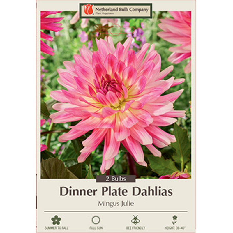 DAHLIA MINGUS JULIE