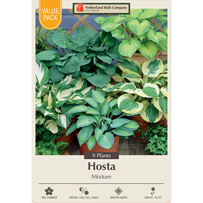 HOSTA MIX VALUE PACK