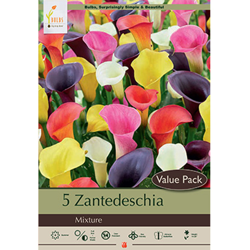 CALLA MIX VALUE PACK