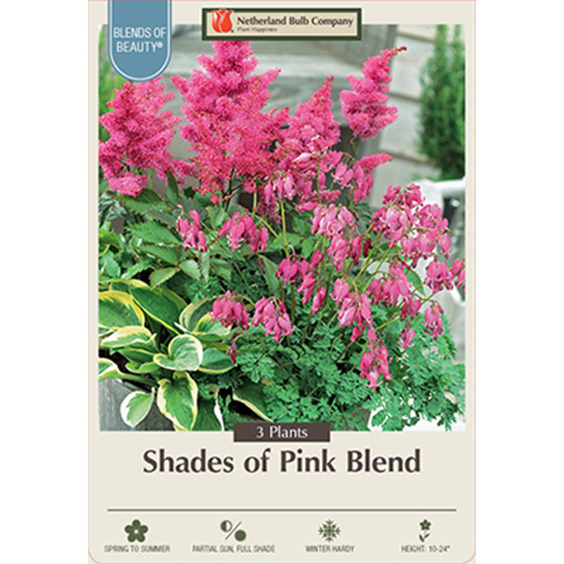 SHADES OF PINK SPRING MIX