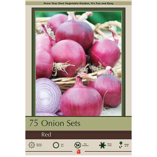 ONIONS RED 75PP