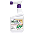 ALL SEASONS OIL RTS