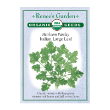 PARSLEY ITALIAN LARGE  ORGANIC