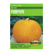 PUMPKIN BIG MAX