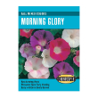 MORNING GLORY TALL MIXED COLORS