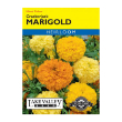 MARIGOLD CRACKERJACK HEIRLOOM