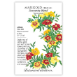 MARIGOLD FRENCH FAVOURITE BLEND