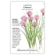 CHIVES