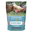 CHICKEN OYSTER SHELL