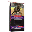 OUTLAST GASTRIC SUPPLEMENT
