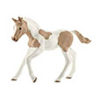 TAN/WHT PAINT FOAL