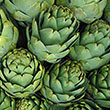 ARTICHOKE 1 GAL