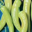 PEPPER PEPPERONCINI