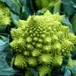 CAULIFLOWER ROM ORG 4PK