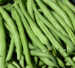 BEAN POLE