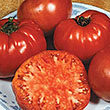 TOMATO BRANDYWINE