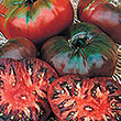TOMATO CHEROKEE PURPLE