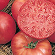 TOMATO MORTGAGE LIFTER