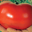 TOMATO WHOPPER