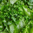 LETTUCE CRUNCH LEAF ORG 4PK