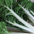 SWISS CHARD SILVERADO ORG 4PK