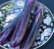 EGGPLANT SHIKOU