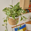 HOLIDAY PRIMAVERA'S BOUNTY HB