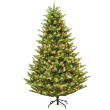 GLENDALE SPRUCE 9' LED DUAL COLO