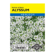 ALYSSUM CARPET OF SNOW HEIRL