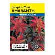 AMARANTHUS JOSEPH'S COAT HEIRL