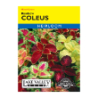 COLEUS RAINBOW MXD C HEIRL